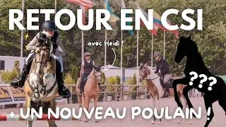Miniature : Entre concours et poulinage : un week-end inoubliable ✨ (PARTIE 1)