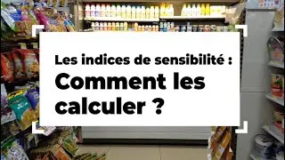 Miniature : Les indices de sensibilité : comment les calculer ?