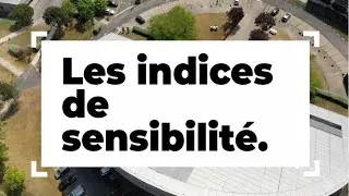 Miniature : Les indices de sensibilité : introduction