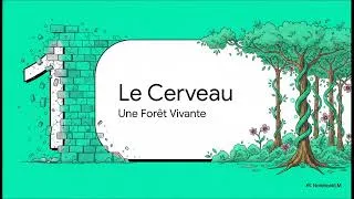 Miniature : Le Cerveau