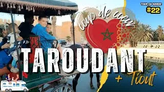 Miniature : Taroudant 🫶 🇲🇦 on est vivants ! Calèche, souks et Oasis de Tiout - Ville Coup de Coeur au Maroc !
