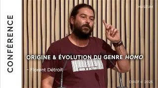 Miniature : Origine et Évolution du genre Homo