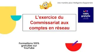 Miniature : L’exercice du Commissariat aux comptes en réseau