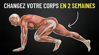 Miniature : 5 exercices sans équipement pour transformer votre corps rapidement