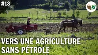 Miniature : Vers une agriculture sans pétrole : la traction animale, les Jardins d'Illas - FTD #18