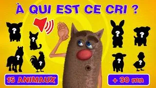 Miniature : Foufou - 🐶 Les CRIS des ANIMAUX | Quiz éducatif pour les enfants