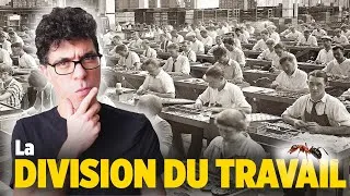 Miniature : Peut-on travailler COMME DES FOURMIS ? 🐜 🐜 🐜