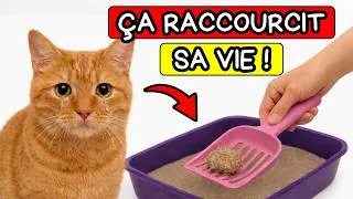 Miniature : 7 ERREURS FATALES en nettoyant la litière de votre chat (98 % des propriétaires le font !)