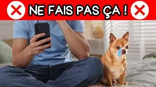 Miniature : 7 erreurs qui font croire à votre chien qu’il N’EST PAS AIMÉ — et vous ne le remarquez même pas !
