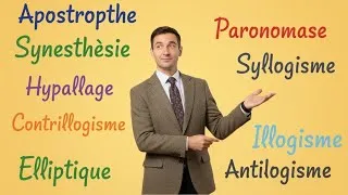 Miniature : Les figures de style (préparation au concours d'enseignements français) 