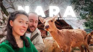 Miniature : Nara, bien plus que des daims 🦌 – Vlog #8