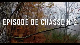 Miniature : Episode de chasse n°2, chasse aux sangliers en battue, foxx chasse