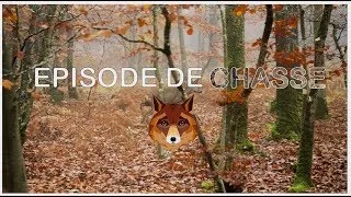 Miniature : Episode de chasse n°1 - Chasse au sanglier !