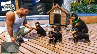Miniature : Franklin DÉCOUVRE les CHIOTS CACHÉS de CHOP | GTA 5 Mods