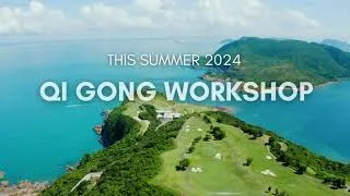 Miniature : International Qi gong workshop in France by teacher Wei Qifeng august 2024