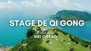 Miniature : Stage De Qi gong Animé par Wei Qifeng  Blainville-Sur-Mer (Août 2024) #qigong