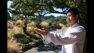 Miniature : Etude - Le professeur Wei sur la pratique dans l'état de mingjue