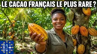 Miniature : LE CACAO LE PLUS RARE DE FRANCE ? – MARTINIQUE'S RAREST COCOA (fr-en)