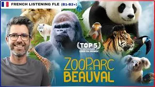 Miniature : Pourquoi le zoo de Beauval est-il si unique ? | Intermediate learners FLE