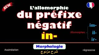 Miniature : #Préfixe négatif  #in- |  #Allomorphes / formes | #Morphologie  #Dérivation -Assimilation 