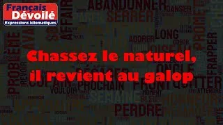 Miniature : Chassez le naturel, il revient au galop