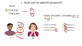 Miniature : PPT   Les adjectifs possessifs _ Niveau basic
