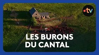Miniature : Dans le Cantal, les derniers buronniers perpétuent un savoir-faire séculaire
