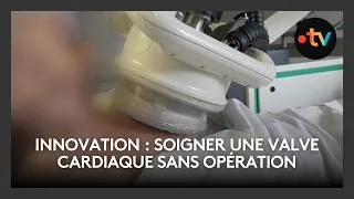 Miniature : innovation : soigner une valve cardiaque sans opération
