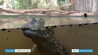 Miniature : Exoticamis, un parc animalier à l'épreuve de la chaleur