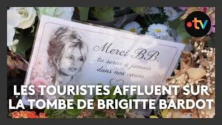 Miniature : Brigitte Bardot : les touristes viennent en nombre se recueillir sur sa tombe à Saint-Tropez