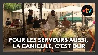 Miniature : Canicule : comme pour beaucoup d'autres métiers, les restaurateurs souffrent de la chaleur