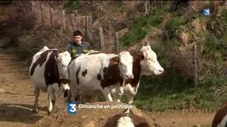 Miniature : Dimanche en politique au Salon Internationale de l'Agriculture (bande annonce)