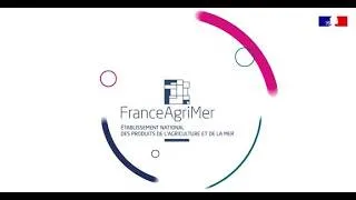 Miniature : Webinaire sur l'état des lieux économique de la cueillette des PPAM en France métropolitaine