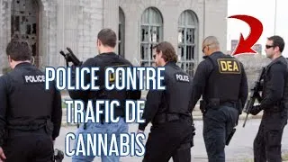 Miniature : REPORTAGE CHOC - LA POLICE AMÉRICAINE CONTRE LE CANNABIS AUX ÉTATS-UNIS