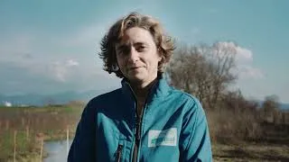 Miniature : Alsachimie : création d'une forêt alluviale rhénane sur la plateforme industrielle WEurope