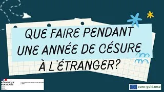 Miniature : visioconférence: "Que faire à l'étranger pendant une année de césure?"