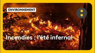 Miniature : Incendies : l'été infernal