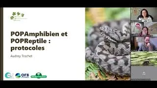 Miniature : Webinaire de présentation des suivis POPAmphibien Reptile en Centre-Val de Loire