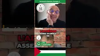 Miniature : Plan Trump et Gaza : Analyse du Professeur Porteilla