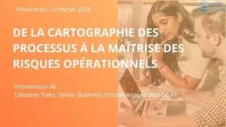 Miniature : Cartographie des Processus et Maitrise des risques