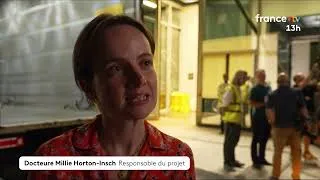 Miniature : Tapisserie de Bayeux : une arrivée à Londres sous escorte
