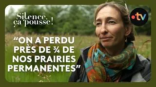 Miniature : Cette botaniste appelle à préserver les dernières prairies permanentes !