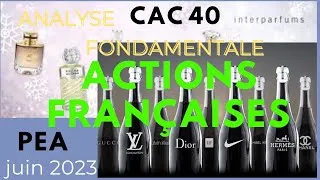 Miniature : Analyse Fondamentale d'actions françaises PEA -Luxe, Alcool, Parfum (Bourse, Dividende, CAC 40, SBF)