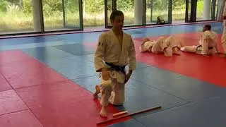 Miniature : Goshin Jitsu par Olivier Vilain