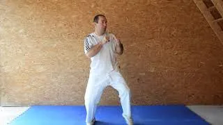 Miniature : BODY KARATÉ VIDÉO