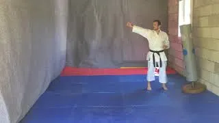 Miniature : Yoko geri et uraken