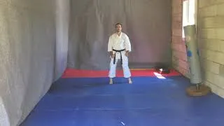 Miniature : Jitte - karaté shotokan