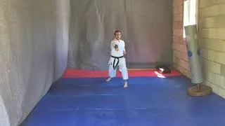 Miniature : Jiin et Jitte - kïons spécifiques aux katas
