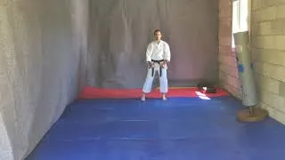 Miniature : Jiin - karaté shotokan