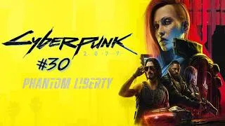 Miniature : Cyberpunk 2077 | Episode 30 | Things Done Changed (FIN)